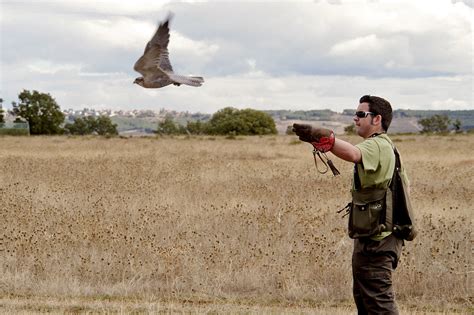 Cetrer A Portal De Turismo De Castilla Y Le N