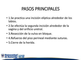 Vulvectomia simple | PPTX