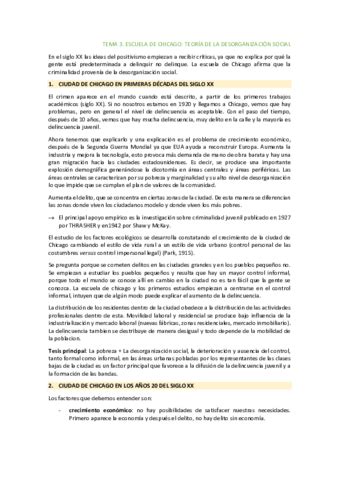 Tema 3 Escuela De Chicago Pdf