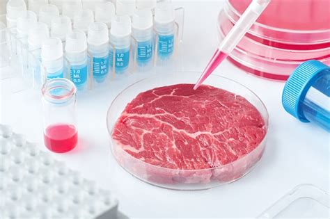 Échantillon De Viande Dans Un Plat De Culture Cellulaire En Plastique