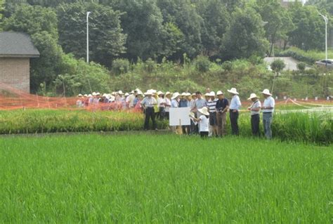 “国家转基因专项”水稻项目组考察亚热带生态所转基因水稻