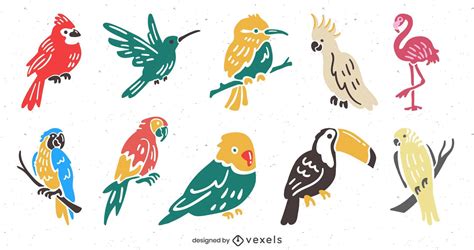 Descarga Vector De Conjunto De Ilustraci N Plana De Aves Tropicales