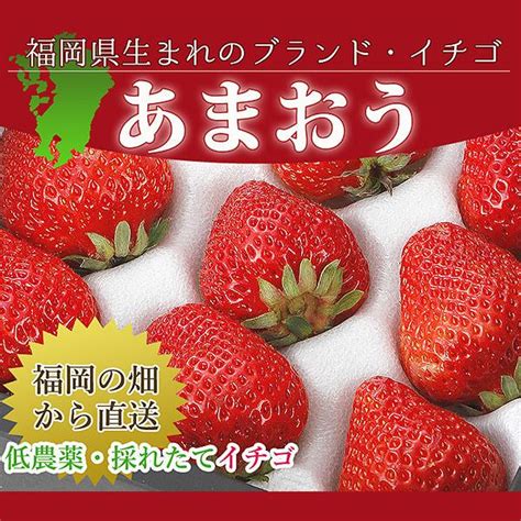 【12月分予約】低農薬 福岡 あまおう 苺 いちご 贈答用 2パック 540g 大粒 産地直送 ギフト Ama Ike Ama01はち