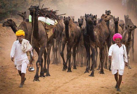 Raisons Pour Lesquelles Vous Devriez Visiter Rajasthan Blog De