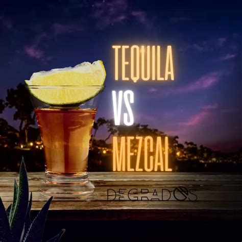 Tequila Vs Mezcal Dos Iconos De La Cultura Mexicana