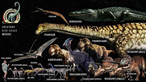 Prehistoric Park Complete Creature Size Scales YouTube