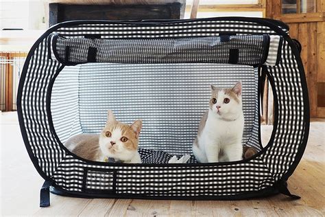 2020 Portable Cat Cage Playpen Exercise Kennel Foldable Dogs Cat Indoor Outdoor Removable Mesh ...