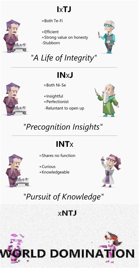 intjs similarities   types  theories rmbti