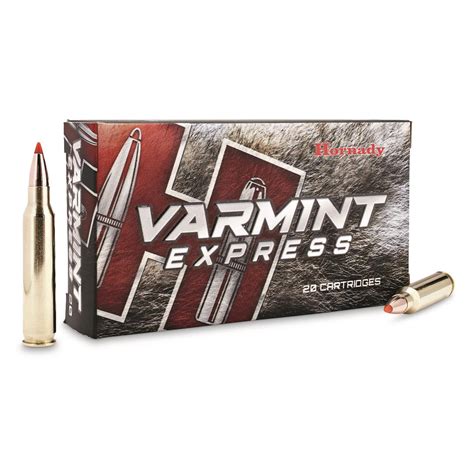 Hornady Varmint Express 223 Remington V MAX 55 Grain 20 Rounds