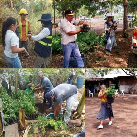 Enacal Avanza En Reforestaci N En Sitios De Recarga De Fuentes De Agua