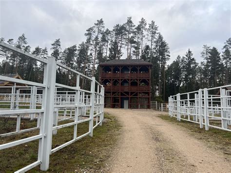 Zagroda pokazowa żubrów w Kopnej Górze ma być gotowa do końca roku