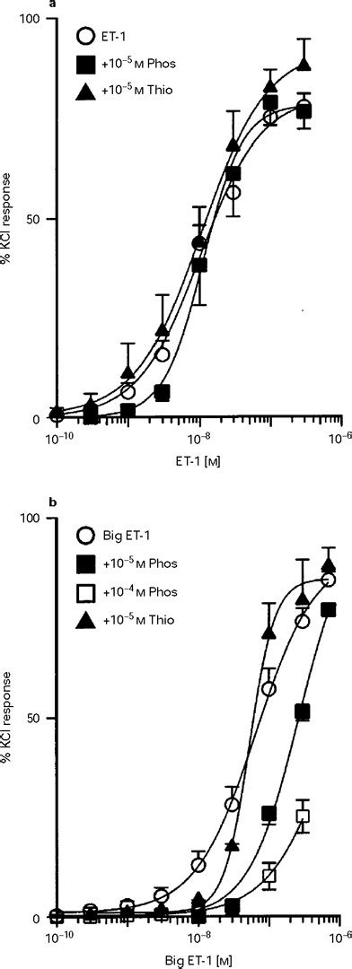 Concentration Response Curves To A Et 1 And B Big Et 1 In The