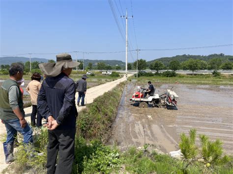 대구 군위군농업기술센터 벼농사 직파 시연회 실시 대구일보