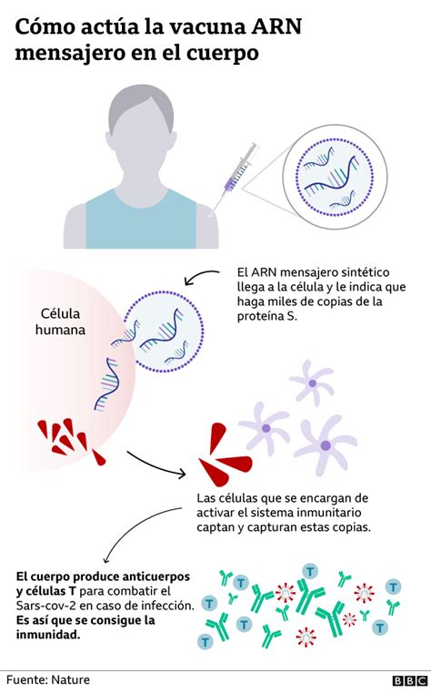 Coronavirus Cómo La Tecnología Arnm Puede Abrir Las Puertas A Una