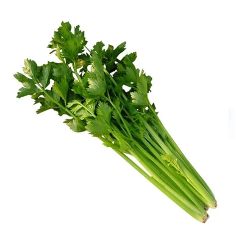 Chinese Celery Green Lbs Wah Teng Produce Ltd