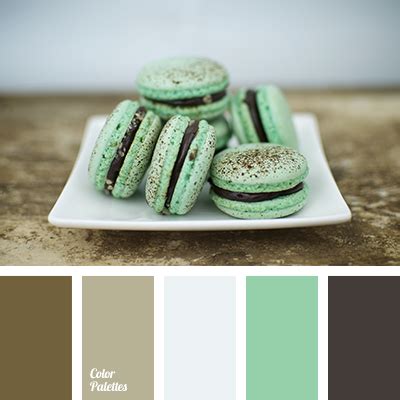 colour of dark chocolate | Color Palette Ideas