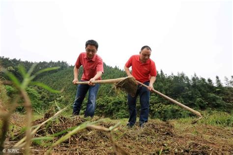 2019農民如果不想種地，可以通過這兩種方式進行流轉！ 每日頭條