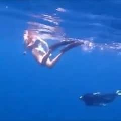 Dive Gay Outdoor Porn XHamster