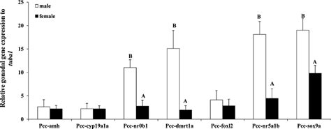 Relative Sex Differentiation Related Gene Expressions In Gonadal Tissue Download Scientific