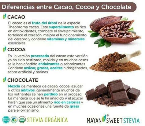 Diferencias Entre Cacao Cocoa Y Chocolate Recetas De Comida Comida