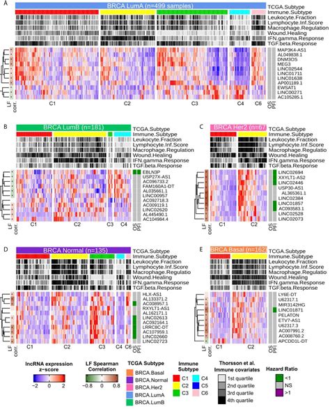 Frontiers Unraveling Immune Related Lncrnas In Breast Cancer Molecular Subtypes