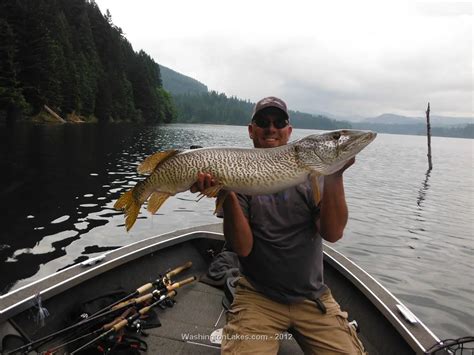 Merwin Lake Photo Gallery Nwfr