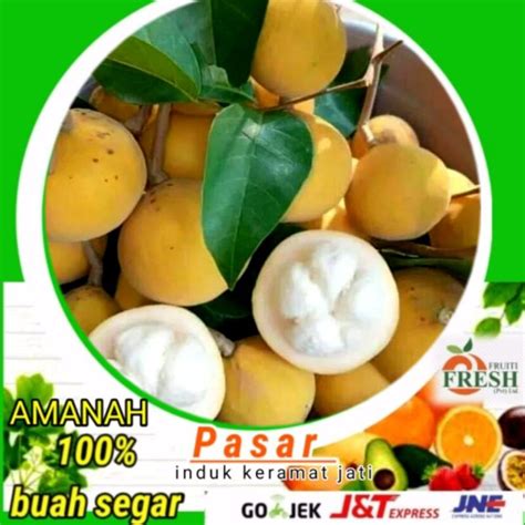 Jual Buah Segar Kecapi Kg Shopee Indonesia