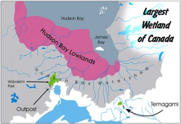 Social Studies | Regions of Canada | Arctic Region