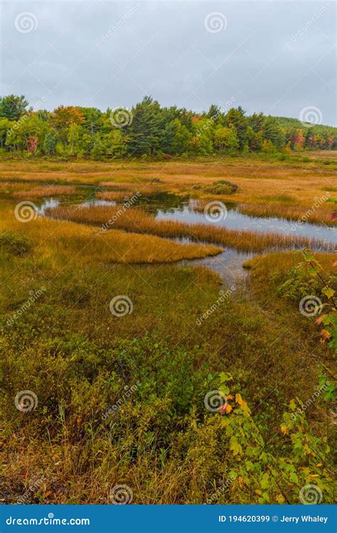 Lautomne Le Long Du Parc National Acadia Maine De Canard Brook Image