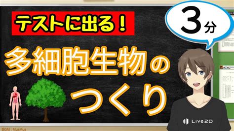 多細胞生物のつくり（組織・器官）（植物と動物の生きるしくみ）【中2理科わかりやすい授業動画】 Youtube