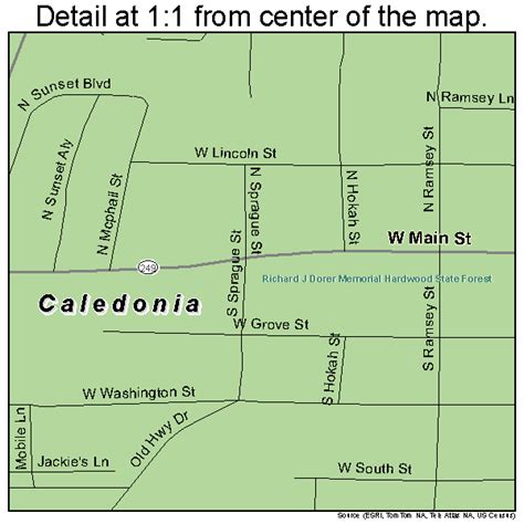 Caledonia Minnesota Street Map 2709226