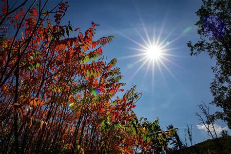 Luce Del Sole Photograph by Nicole Thompson - Fine Art America