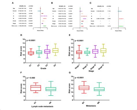 Evaluation Of Prognosis Model Based On M 6 A Regulators A C