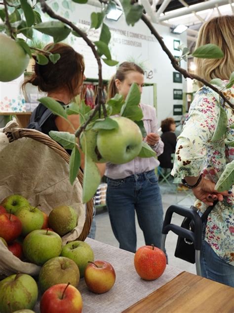 Numeri appuntamenti temi tutto ciò che cè da sapere sul Salone del