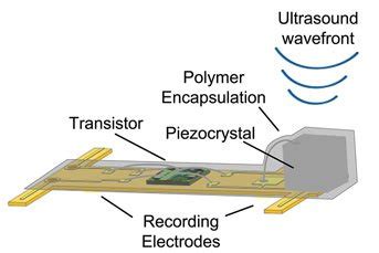 Tiny Neural Dust Sensors Could One Day Control Prostheses Or Treat