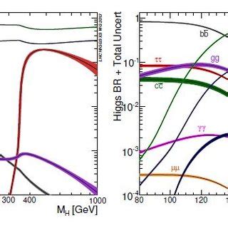 Branching Ratios Of The Different Decay Channels Of The Higgs Standard