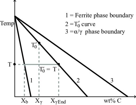 Schematic diagram representing lever rule for calculation using T 0 0 ...