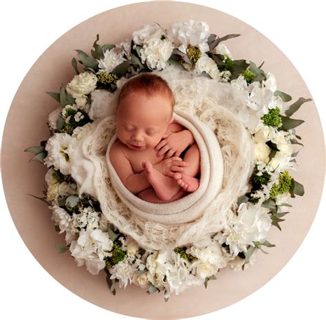 Download A Baby Sleeping In A Basket Of Flowers 100 Free Fastpng