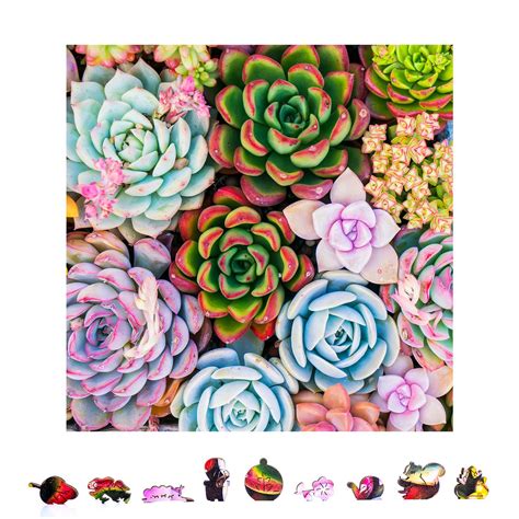 Zenchalet Succulent Sensation Premium Wooden Jigsaw Puzzle For Adults