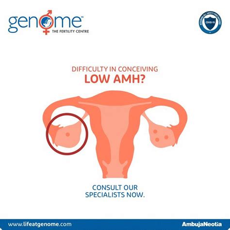 Anti-Mullerian Hormone