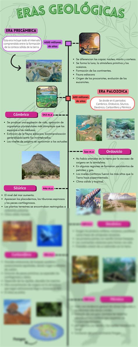 SOLUTION L Nea Del Tiempo De Las Eras Geol Gicas Studypool