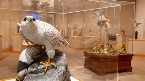 Visit Ward Museum Of Wildfowl Art In Salisbury Expedia