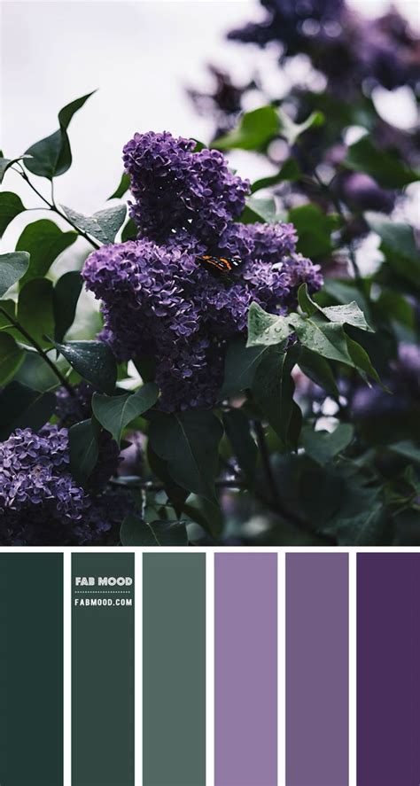 Green and Purple Colour Combination – Colour Palette 138 | Purple color ...