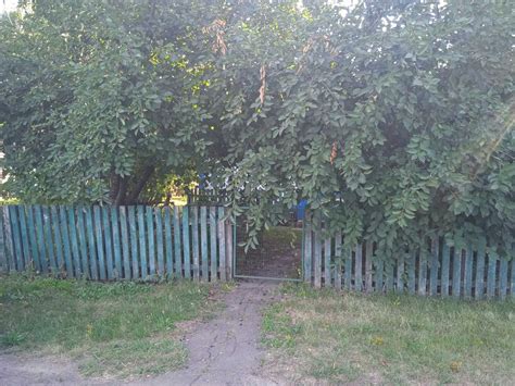 Продається батьківська хата: 75 000 грн. - Продаж будинків Клинове на Olx