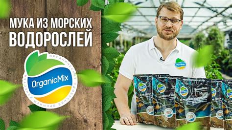 Мука из морских водорослей от Органик Микс / Подробно о продукции ...