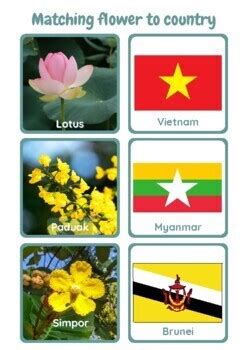 Asean National Flowers And Flags Matching Countries Flower