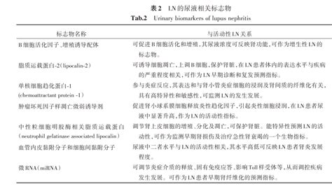 一文梳理狼疮性肾炎发病机制、诊断及分型细胞抗体患者