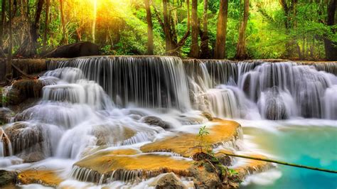 Beautiful Waterfall Stream In Green Trees Forest Background 4K Nature ...