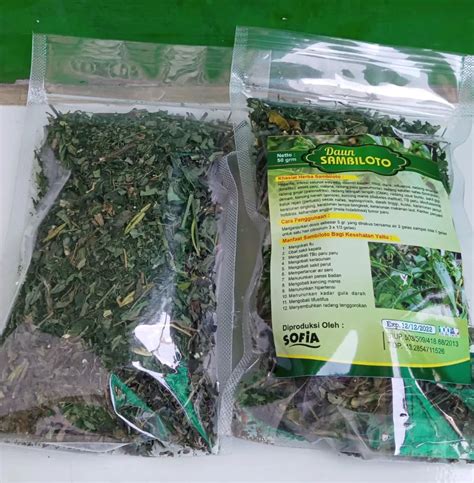 Jual Teh Daun Sambiloto kering di Denpasar Bali – Jual produk Herbal di Denpasar Balis