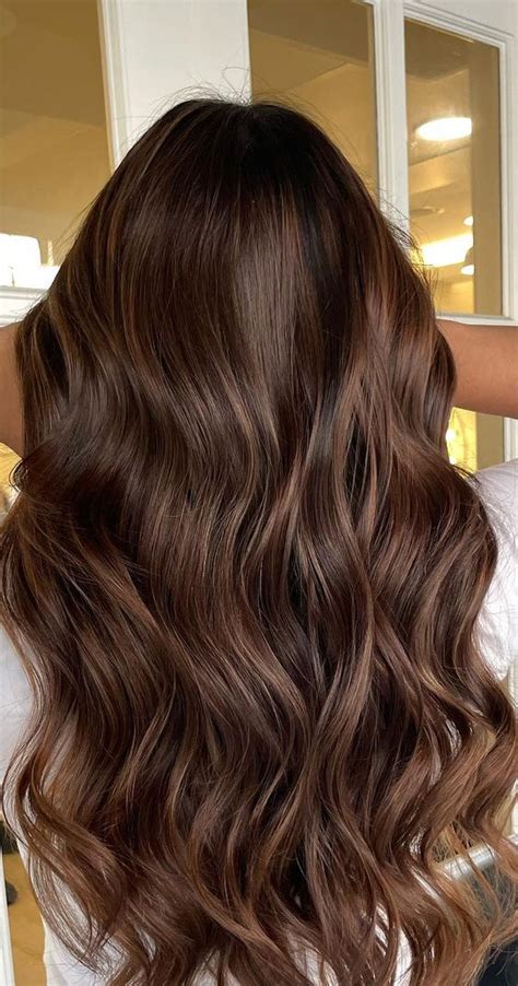 Chestnut Brown Hair